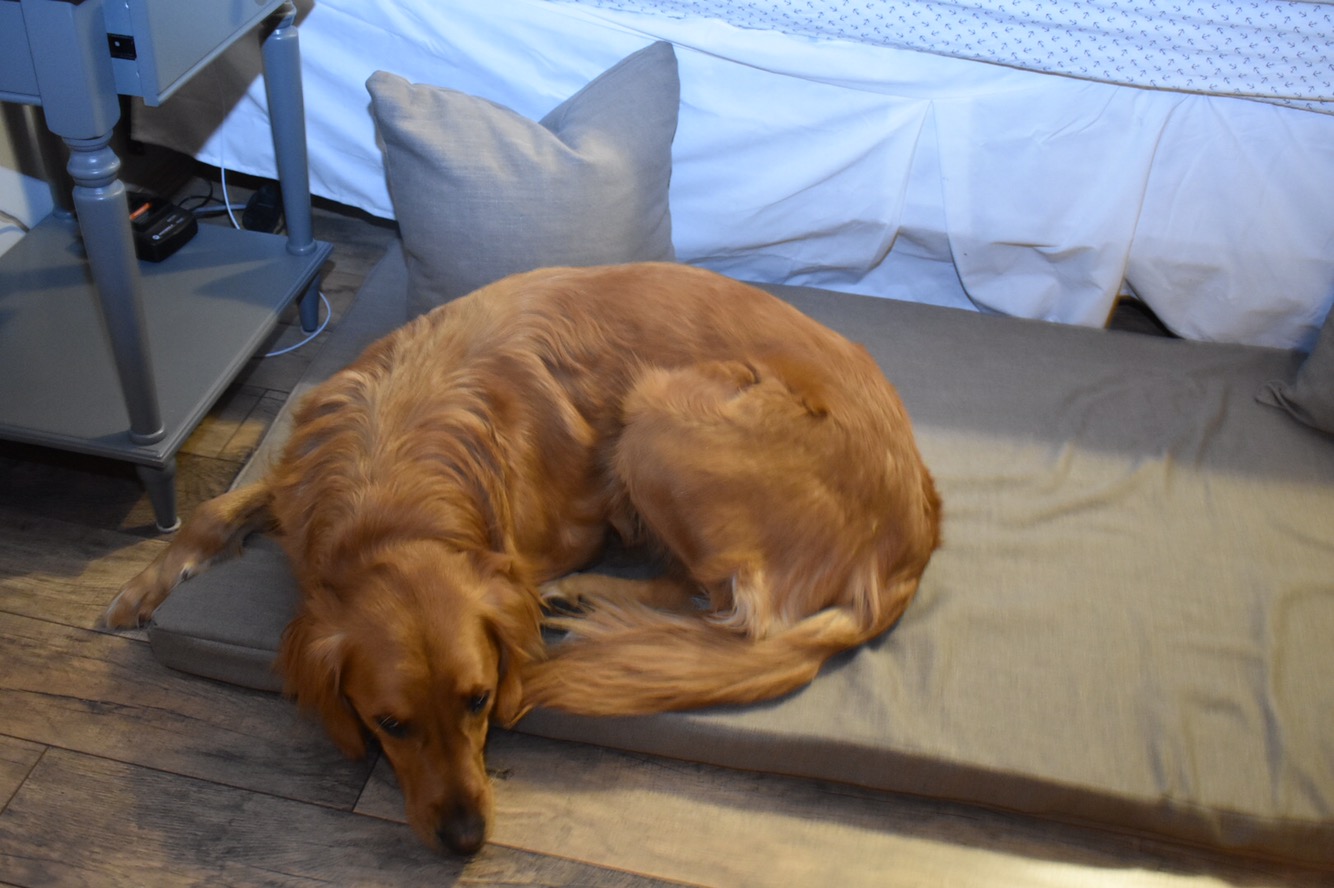 DIY Double Dog Bed Breann