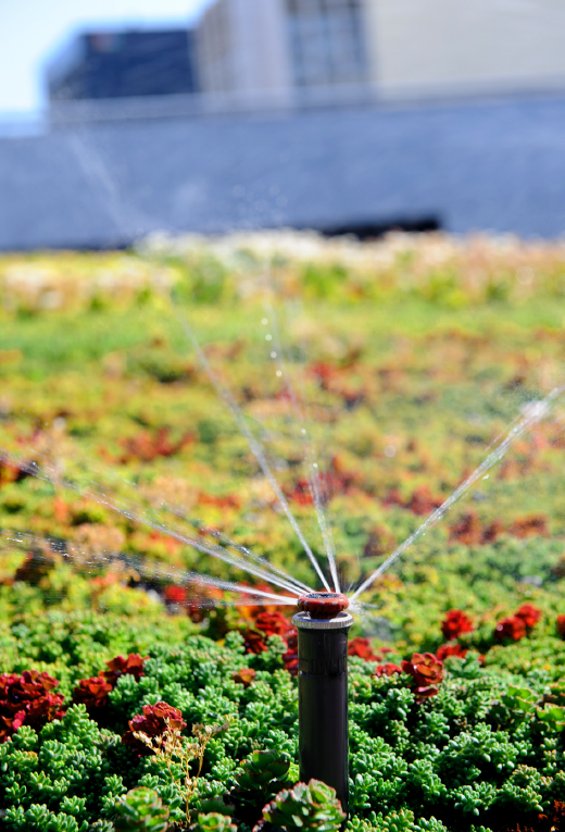 News from our Sponsor Hunter Industries IRRIGATION on GREEN ROOFS? A