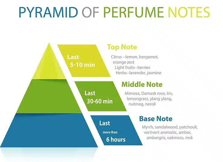 Perfume Concentrations Hype Or Myth