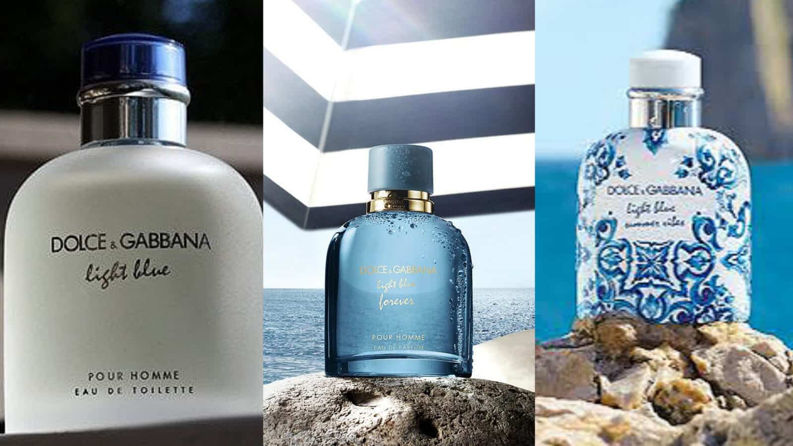 Dolce & Gabbana Light Blue Pour Homme Which One Is Best?