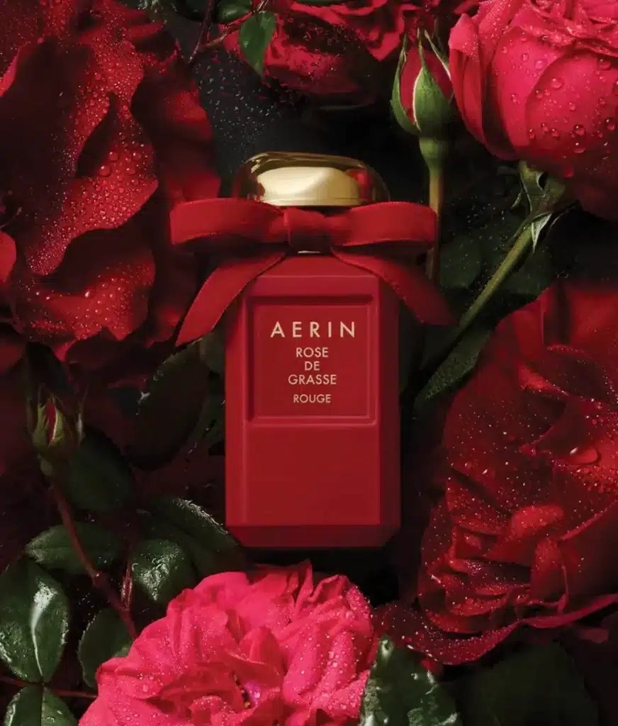 Rose De Grasse Rouge By Aerin A Deeper Dive Into The Rose Note