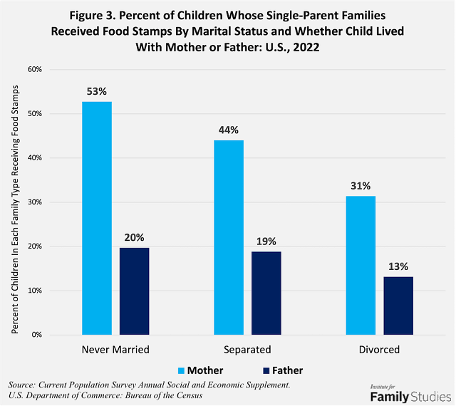 Food Stamps and Family SNAP Recipients by Family Structure Institute
