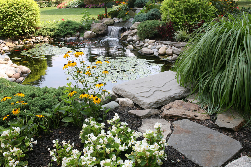 38 Backyard Pond Ideas & Designs (Pictures) Décoration de la maison