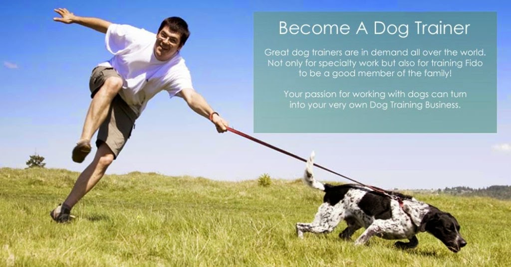 Learn How to a Dog Trainer With These Tips An easy guide to