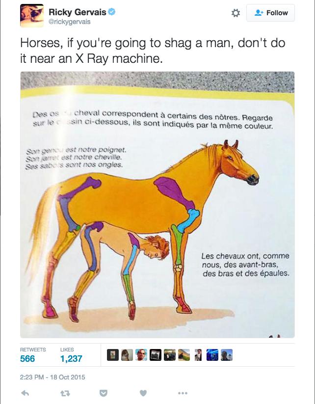 Crazy World We Live Can We Talk About This Weird Fucking Horse Picture
