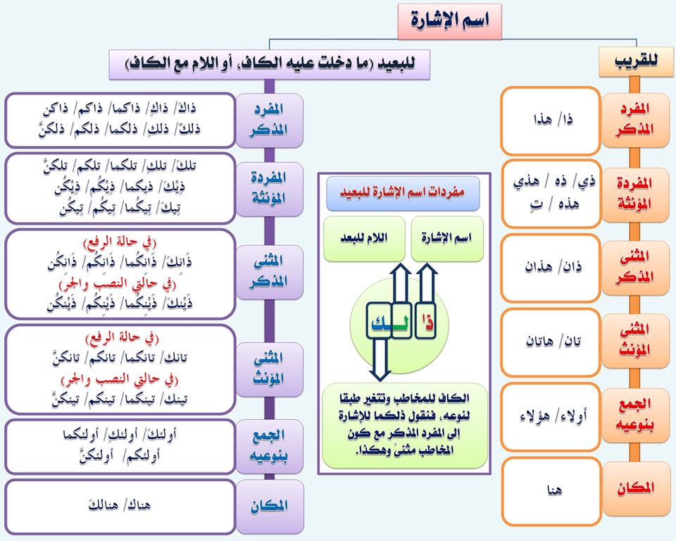 مدخلك الى اللغة العربية كل القواعد النحوية من الاول
