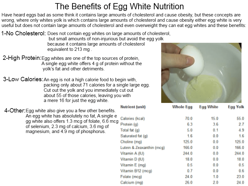 The Benefits of Egg White Nutrition exerciseswork