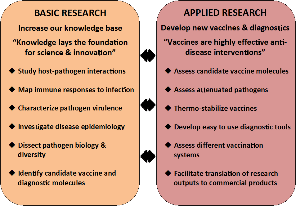 Differences between writing a literature review and an essay