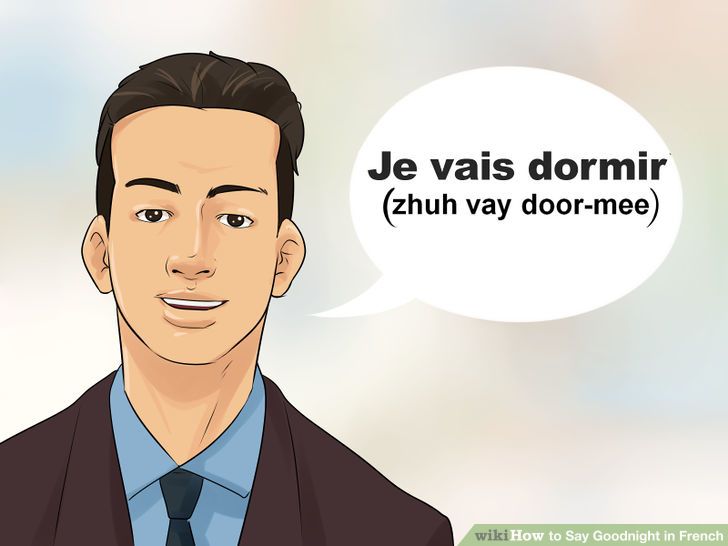 Pet & Animal How to Say Goodnight in French