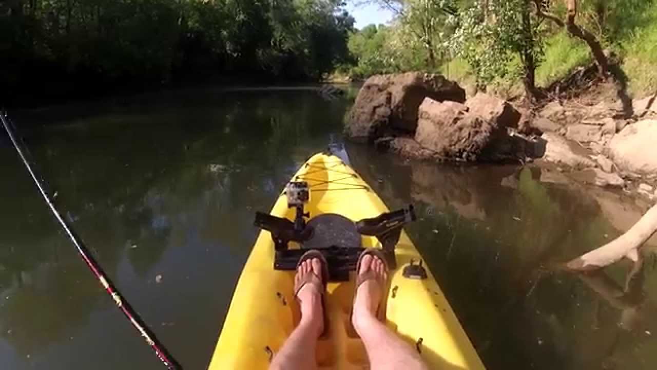 Kayak Fishing Beautiful Duck River Tennessee Fishing Central