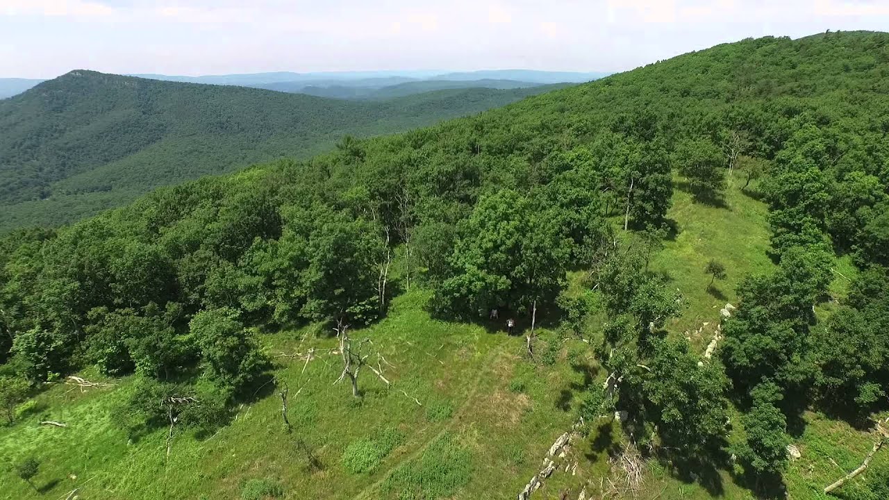 Great North Mountain Woodstock VA Camping Camp