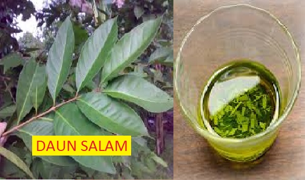 SUNGGUH DAHYSAT !!! DENGAN KOMBINASI MINYAK ZAITUN DAN DAUN SALAM