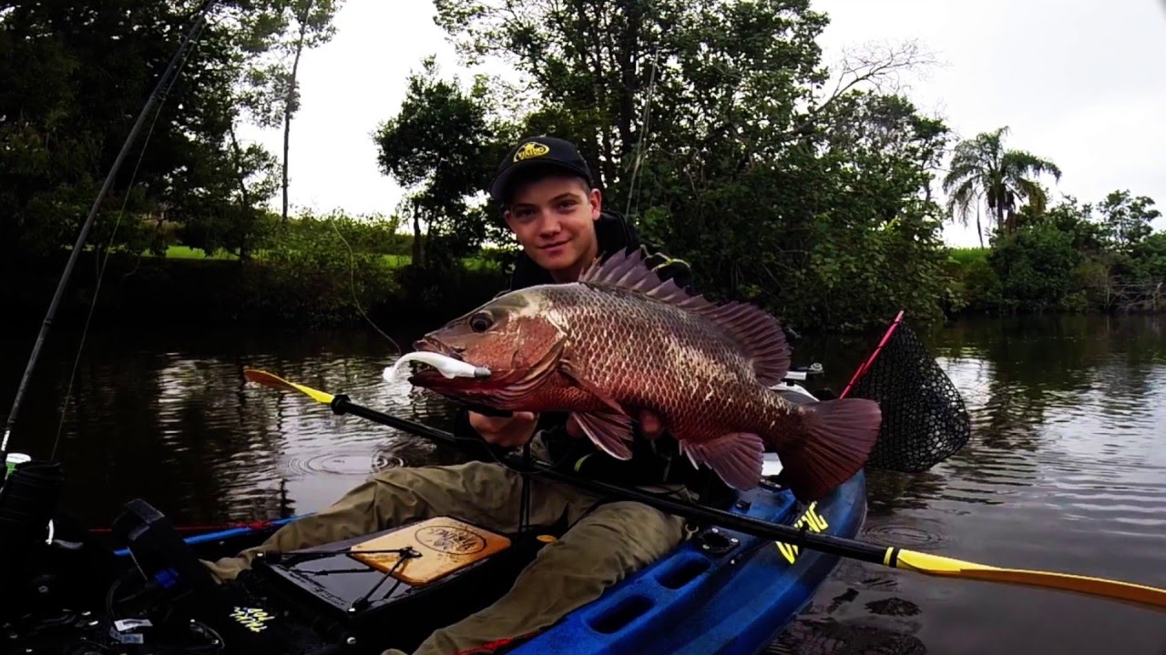 Viking Kayak Mangrove Jack Fishing Sunshine Coast QLD Fishing Bay