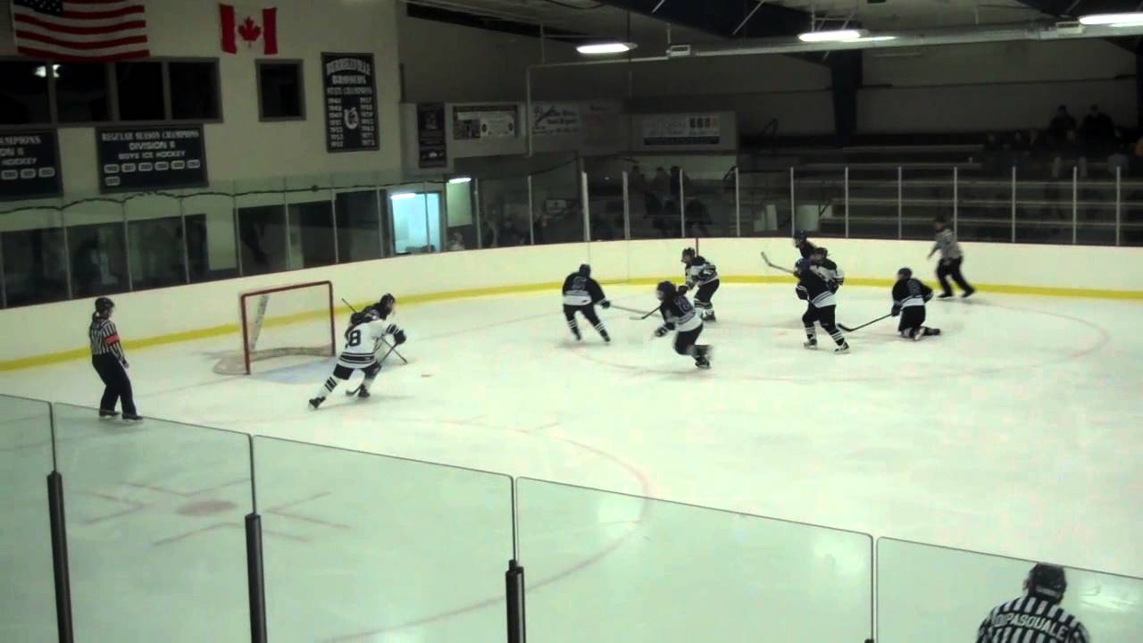 Nichols College women s ice hockey vs University of New England 1 7 14