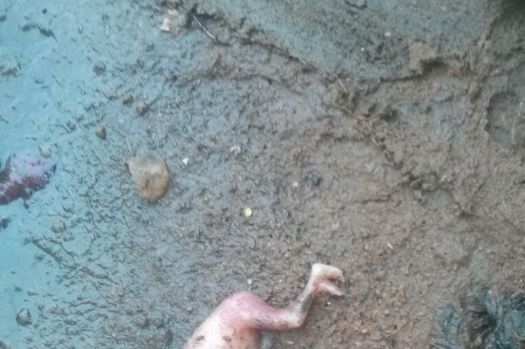 Female Student Aborts 6 Months Pregnancy In Hostel (Photo) to