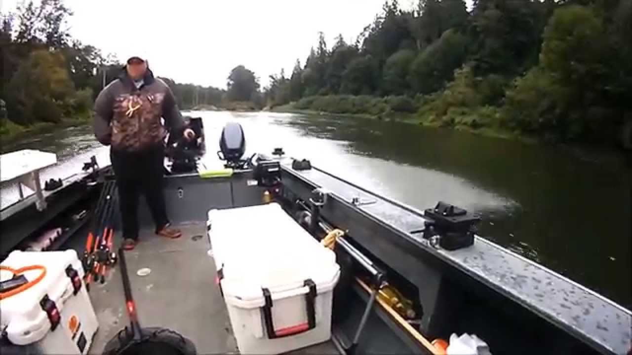 Catching on 2nd trip on Snohomish River Fishing Focus