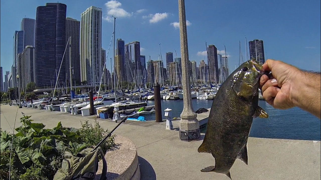 URBAN SMALLMOUTH BASS FISHING CHICAGO HARBOR LAKE MICHIGAN FROM THE