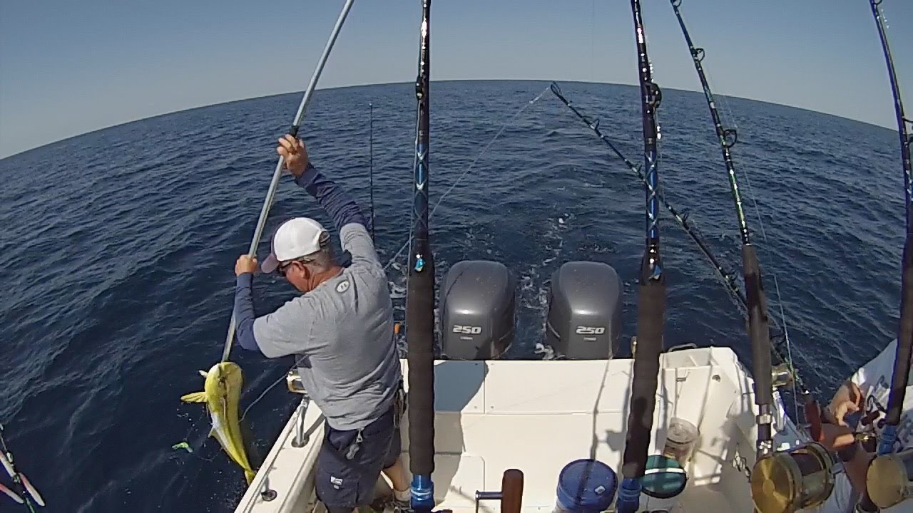 Tuna Fishing in New Jersey Fishing Fever