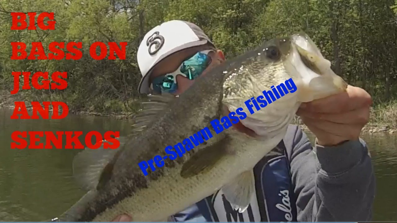 Pre Spawn Bass Fishing with Jigs and Senkos Site Title