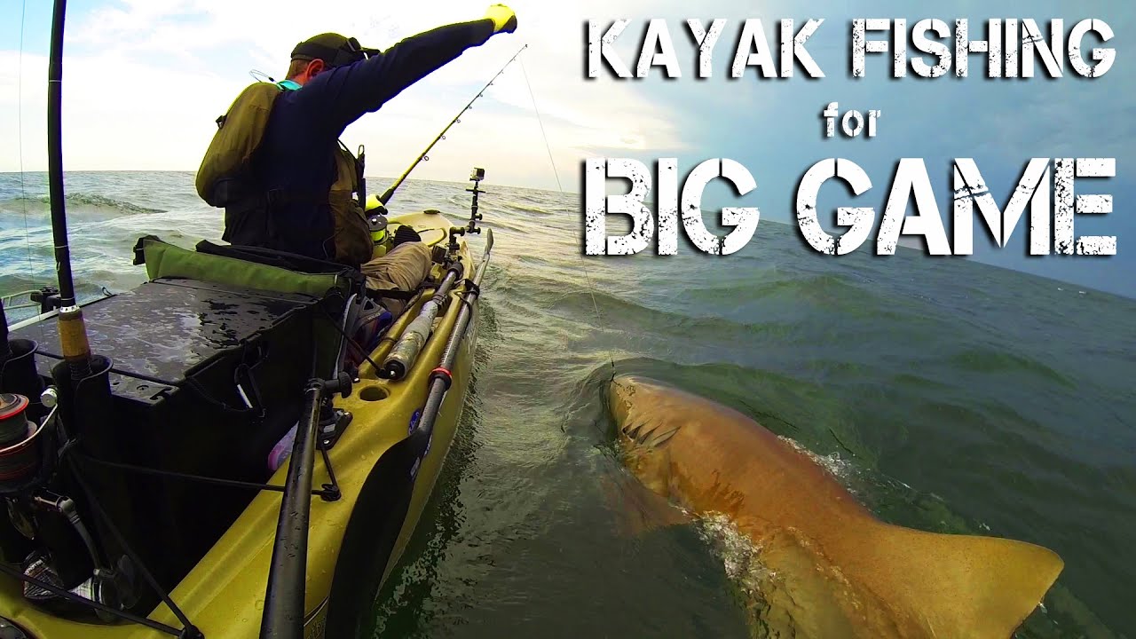 How To Kayak Fishing for BIG Game sharks sailfish alligator gar etc