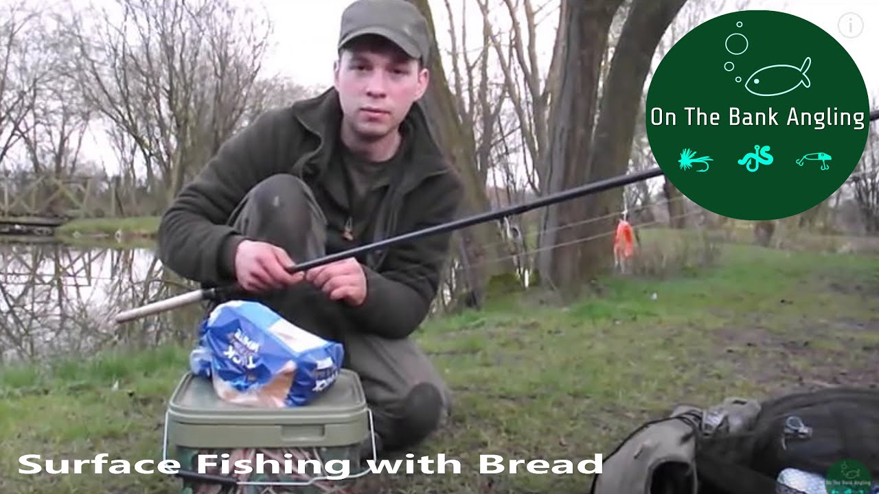Carp fishing in Spring Surface fishing with bread at Chequered Lake