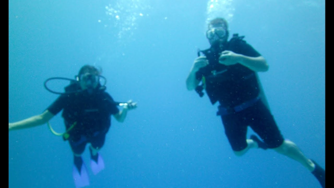 Dive Cozumel 2014 Fishing Dome