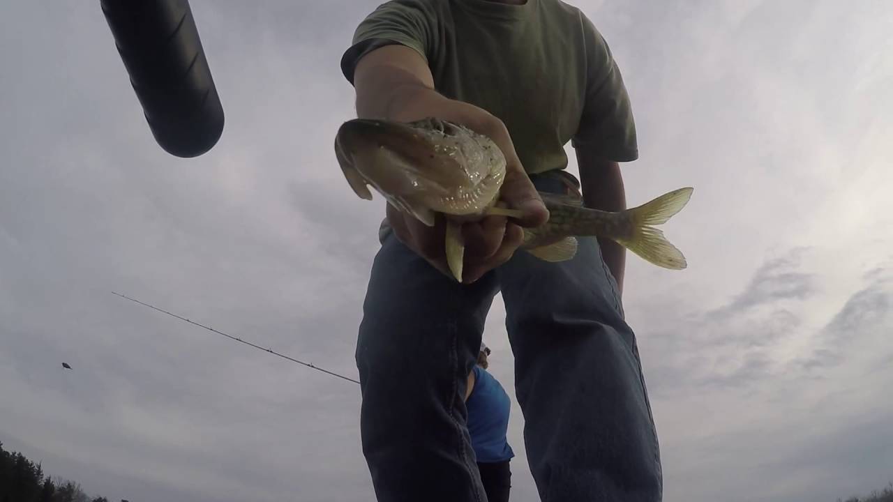 Bass fishing at Wilson Lake in South Jersey with Colin Stewart