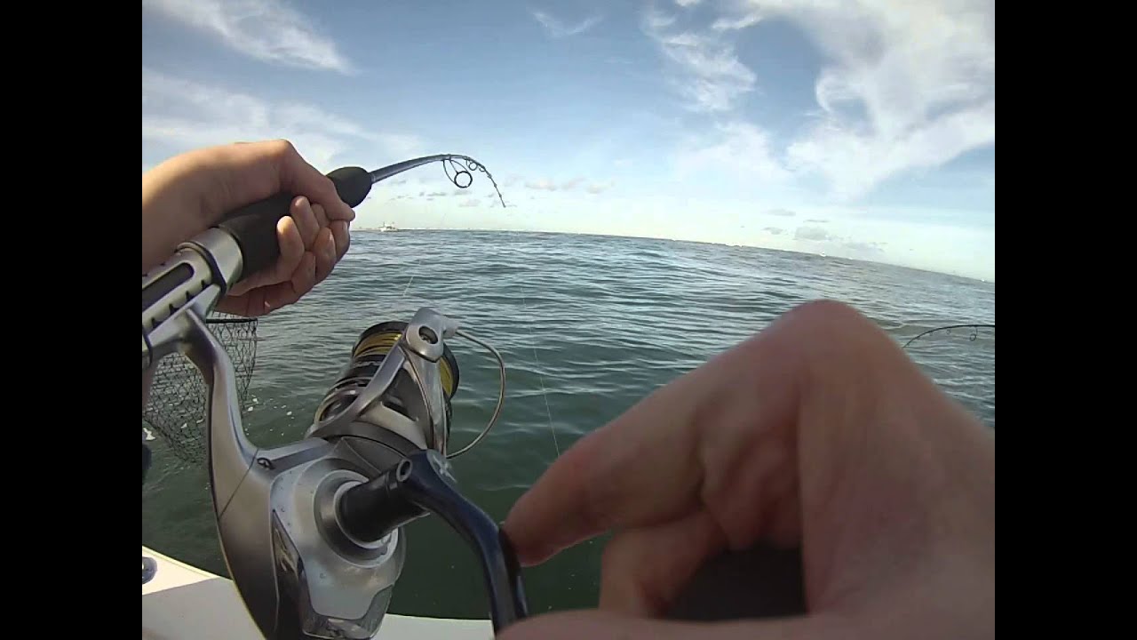 RAW Striper Fishing Cape May NJ Fishing Fever