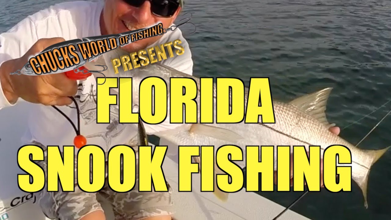 Florida Inlet Snook Fishing With Artificial Lures Fishing Bite