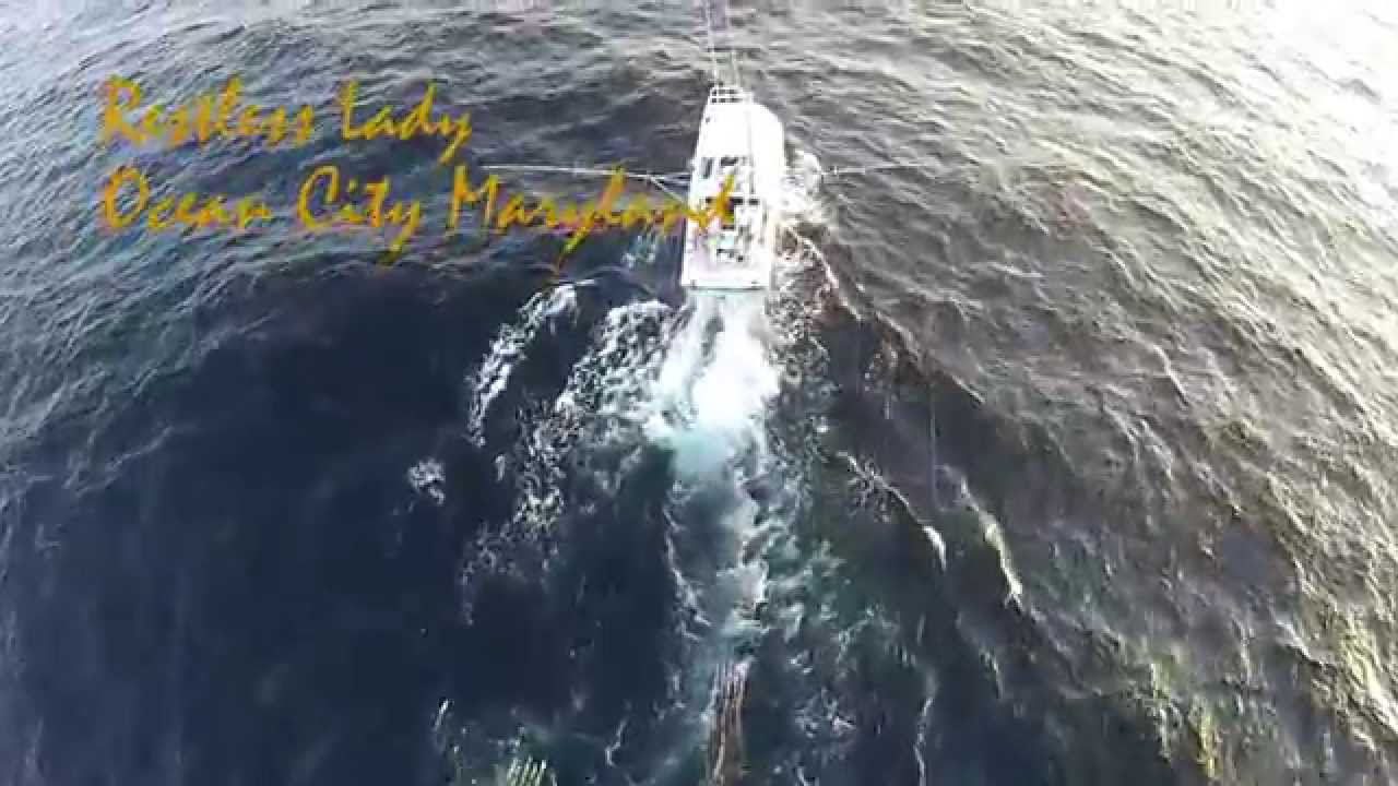 Restless Lady Overnight trip July 6 2015 Bigeyes in the Washington