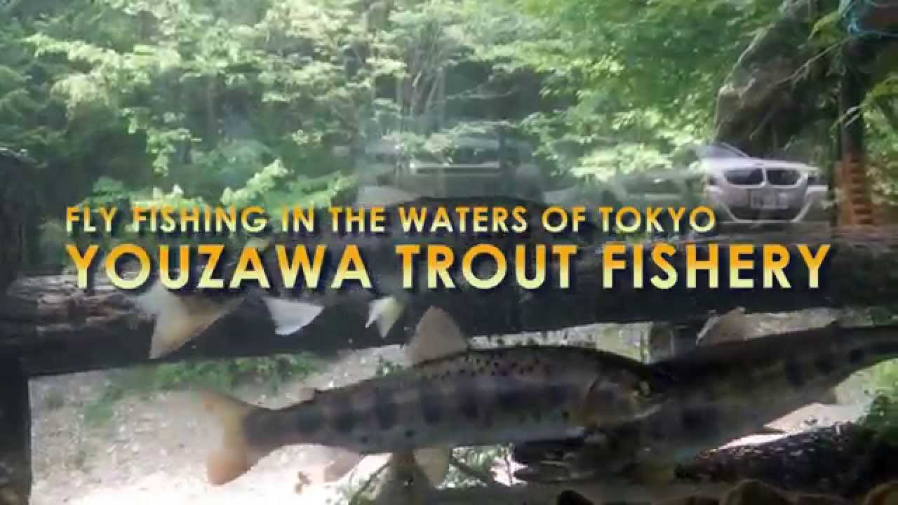 Fly Fishing in Japan Youzawa Trout Stream Tokyo Fishing Media