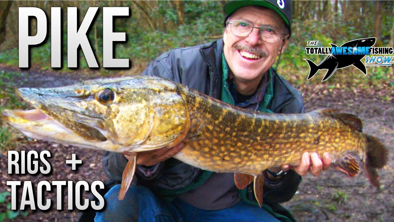 Pike Fishing Rigs amp Tactics for Hi Stack Fishing TAFishing Tactical Bite