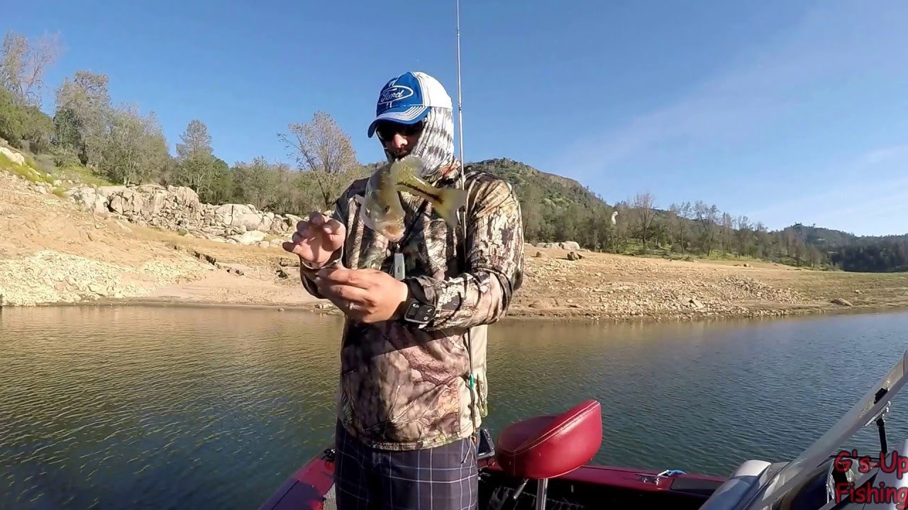 Millerton Lake Bass Fishing in April Fishing Central