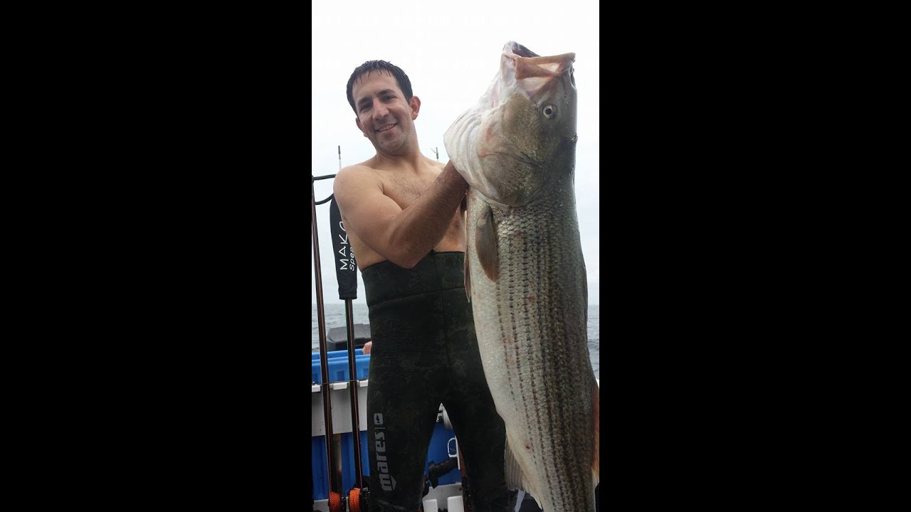 Spearfishing Rhode Island with East Coast Divers and Spear It Charters