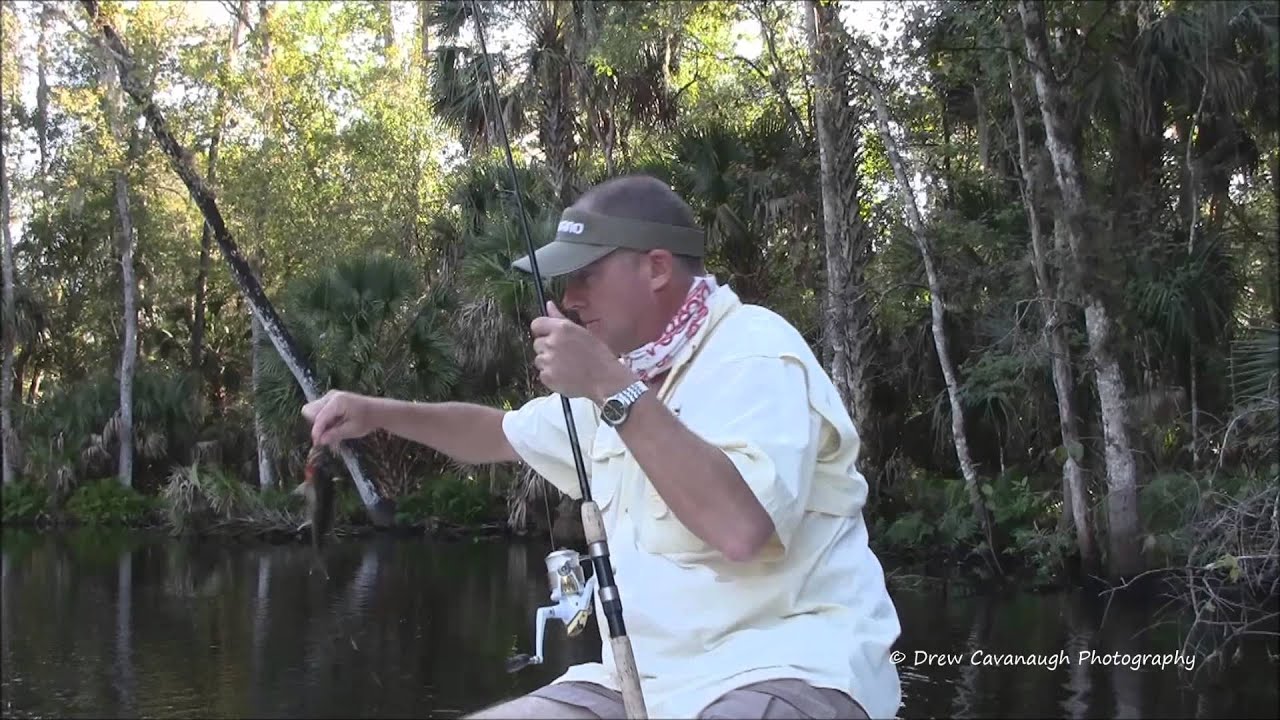 Wekiva and St Johns River Panfish Shad Crappie Fishing Bay