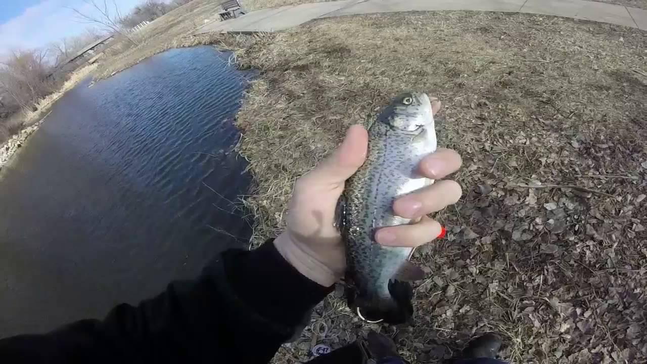 fly fishing slough creek for rainbow trout wichita kansas Site Title
