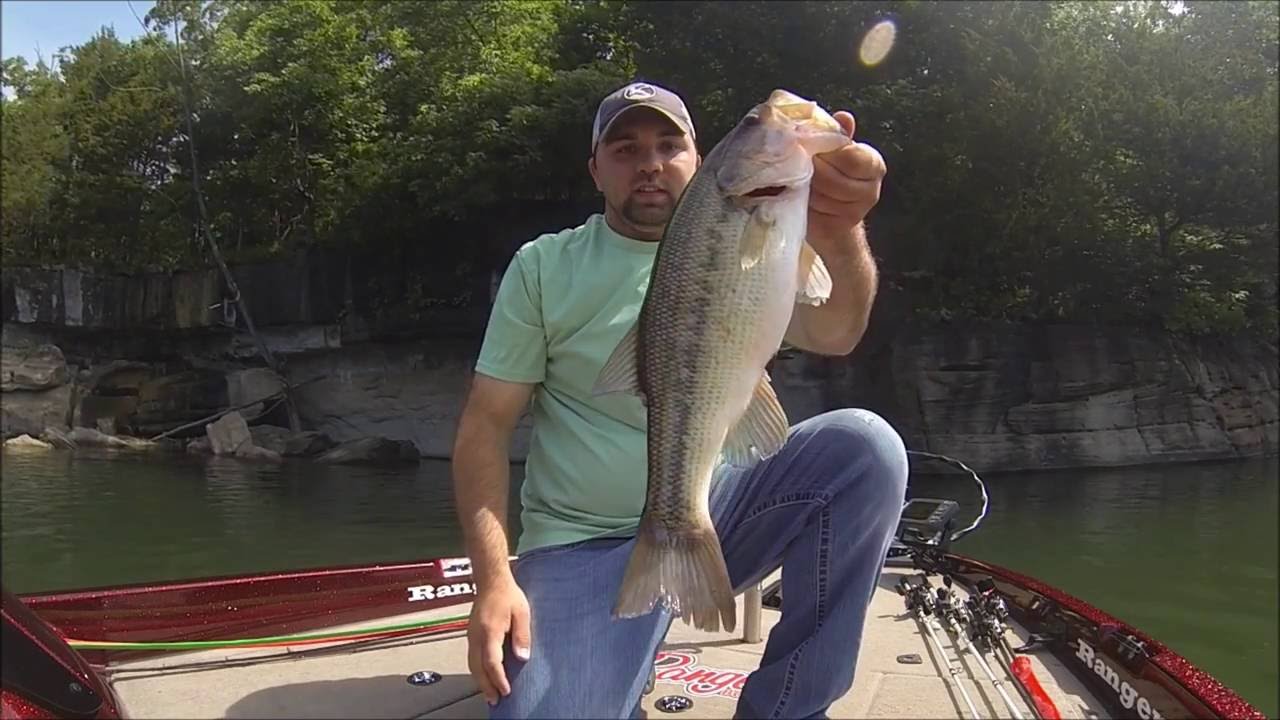 Beaver Lake Arkansas Bass Fishing Fishing Box