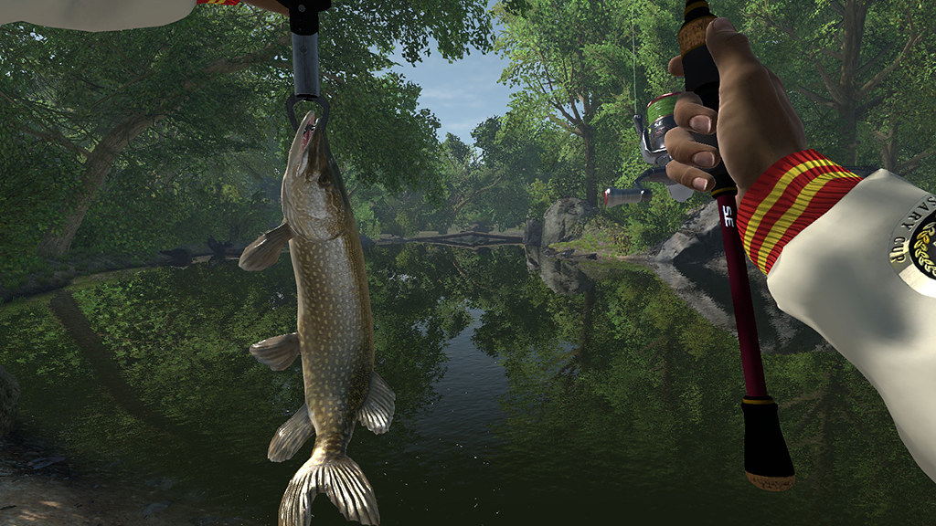 Reel in freetoplay PS4 fishing simulator Fishing from 29th