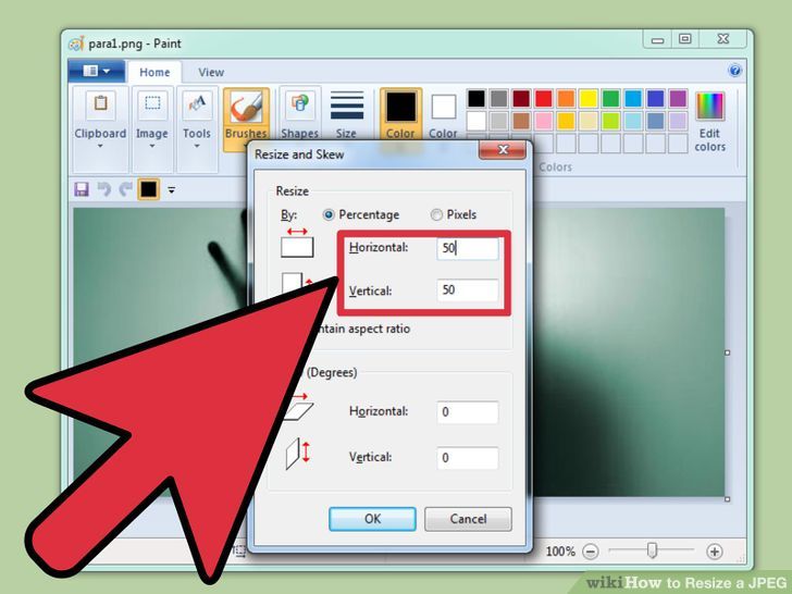 Pet & Animal How to Resize a JPEG