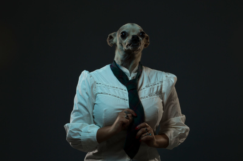 Portraits of Human Bodies with Dog Heads RICK REA