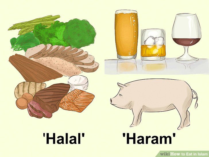 Pet & Animal How to Eat in Islam