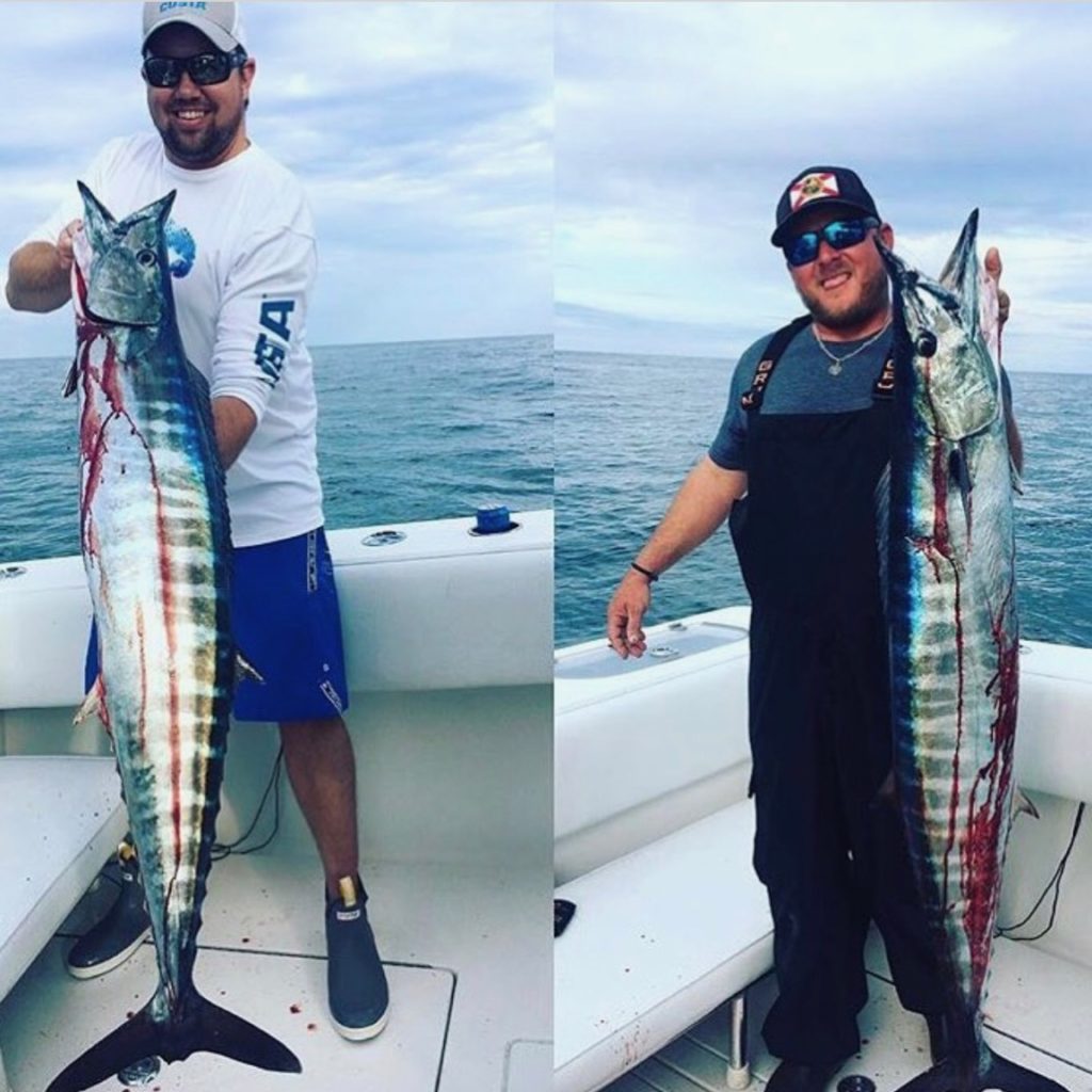 How to Catch Wahoo in Florida live wire tackle