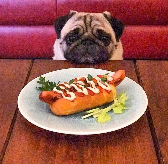 Here’s the winner! A hot dog with a hot dog ;) We loved seeing all the