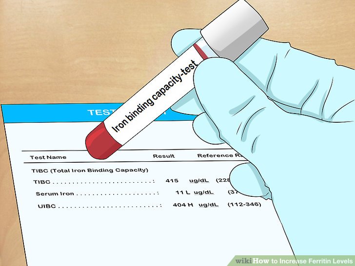 be more attractive How to Increase Ferritin Levels