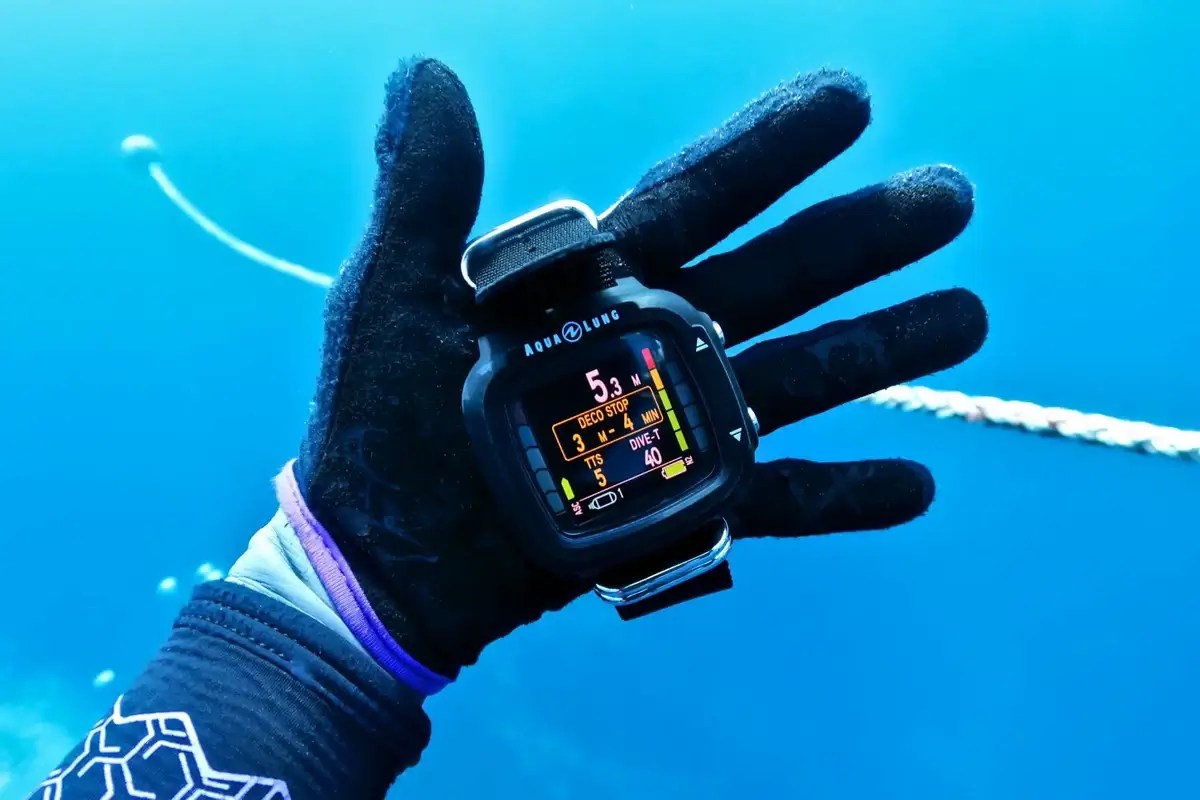30 Fun Facts About Scuba Diving You Must Know iFunFact(06)