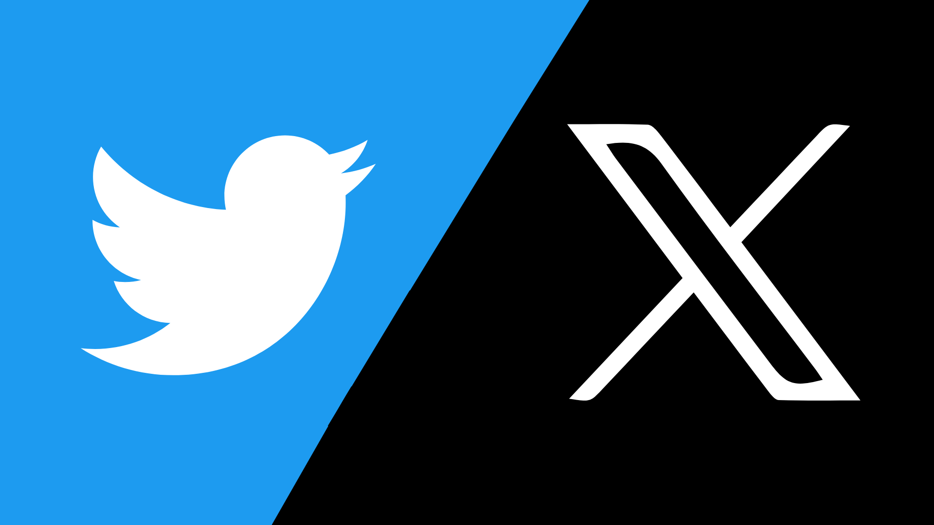 The Blue Bird Has Flown What Your Startup Can Learn From Twitter's X