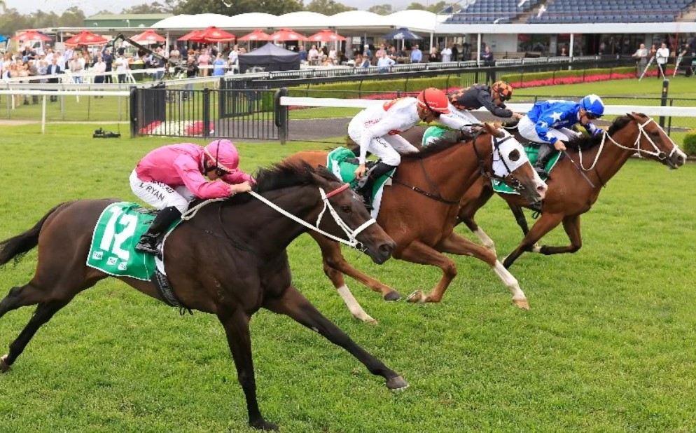 What Does Favorite vs. Field Mean in Betting?