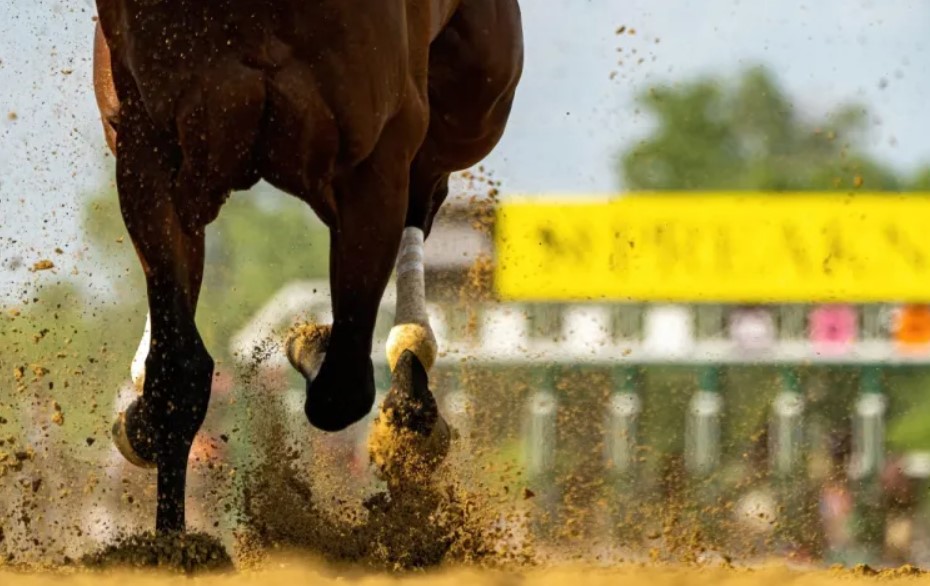 What does Pony mean in Betting?