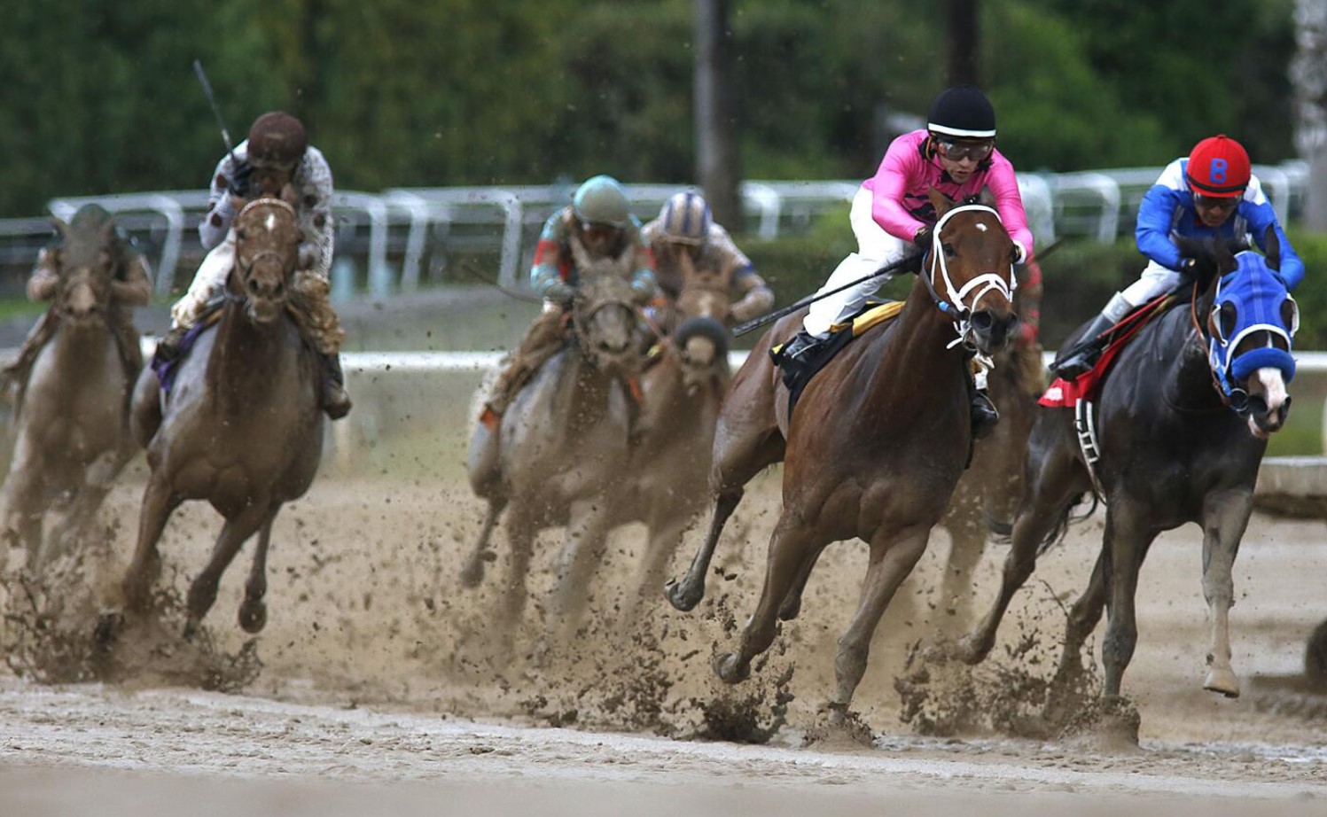 What does Show mean in Horse Racing?