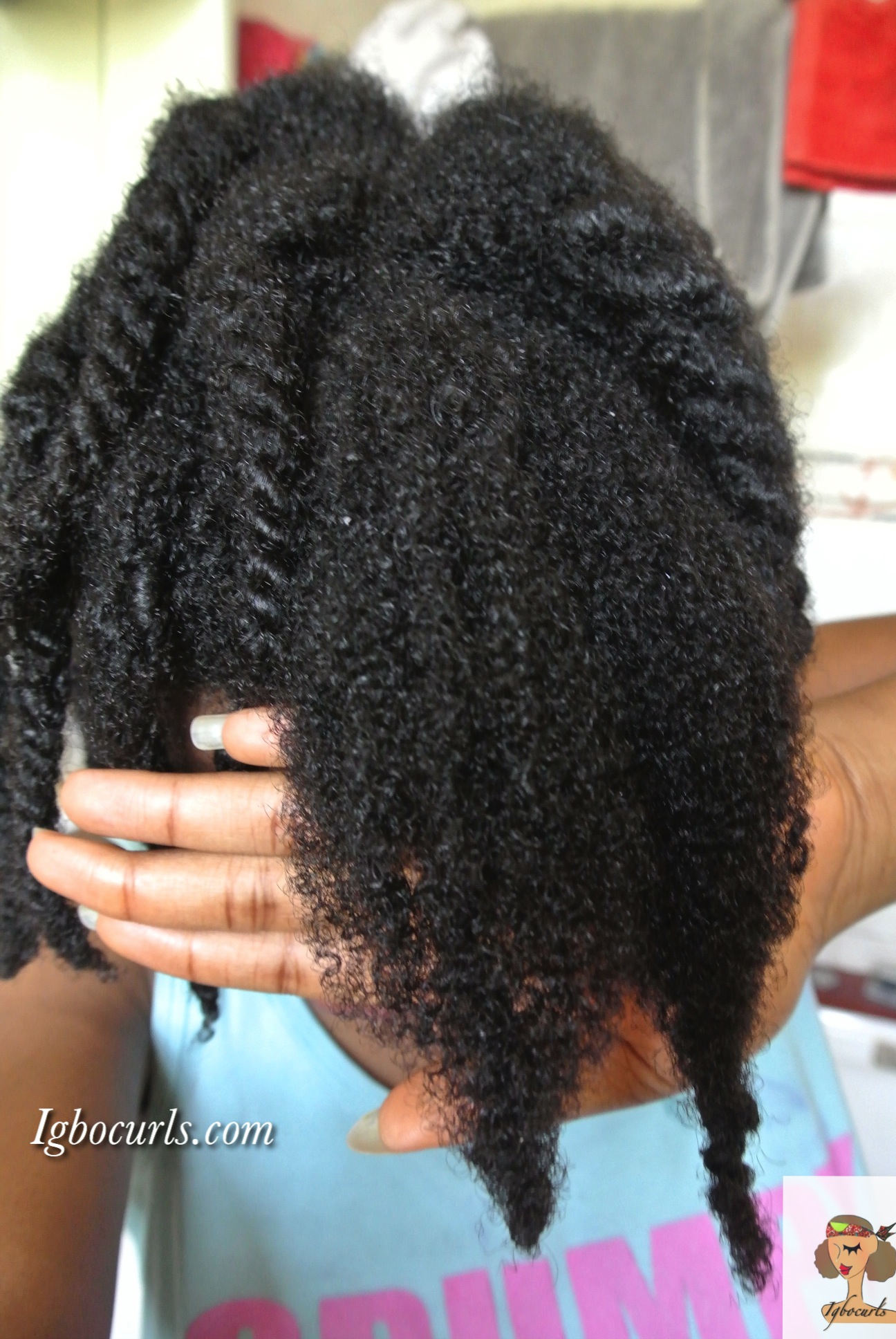 Pros and Cons of Washing Natural Hair in Twists Igbocurls